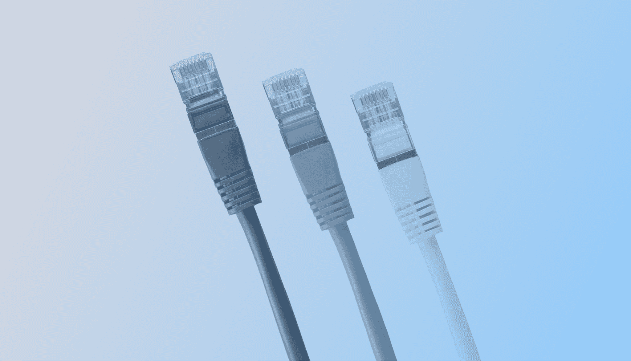 Three ethernet cables